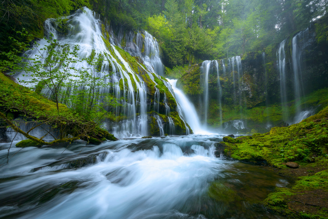 Panther Creek Falls, WA