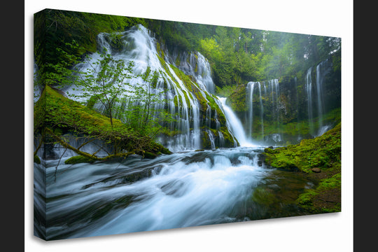 Panther Creek Falls, WA - Canvas Gallery Wrap
