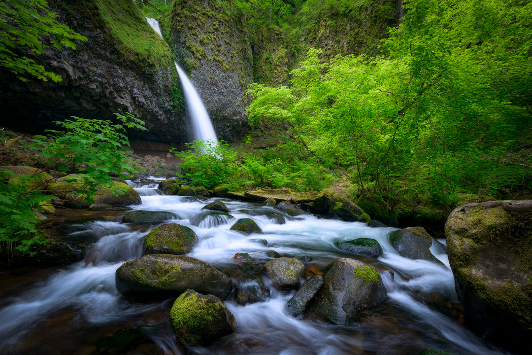 Ponytail Falls and Spring Foliage, Columbia River Gorge, OR