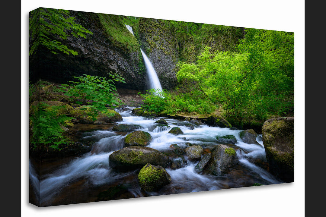 Ponytail Falls and Spring Foliage, Columbia River Gorge, OR - Canvas Gallery Wrap