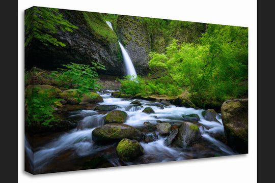 Ponytail Falls and Spring Foliage, Columbia River Gorge, OR - Canvas Gallery Wrap