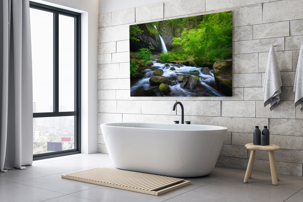 Ponytail Falls and Spring Foliage, Columbia River Gorge, OR - Metal Print
