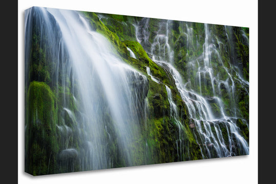 Proxy Falls, Willamette National Forest, OR - Canvas Gallery Wrap