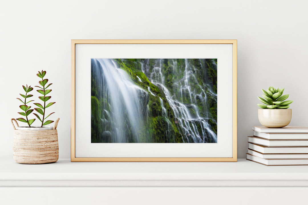 Proxy Falls, Willamette National Forest, OR - Framed Lustre Print