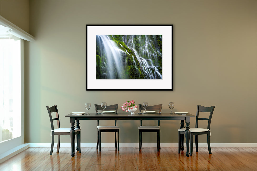 Proxy Falls, Willamette National Forest, OR - Framed Lustre Print on Wall