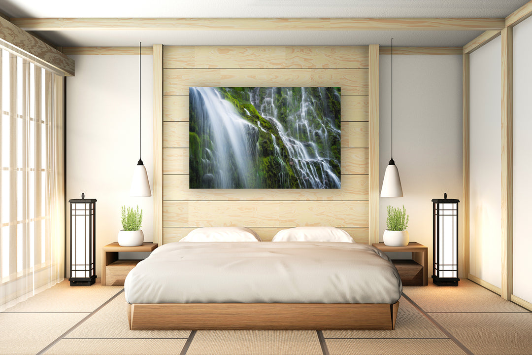 Proxy Falls, Willamette National Forest, OR - Metal Print