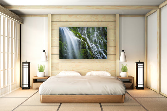 Proxy Falls, Willamette National Forest, OR - Metal Print