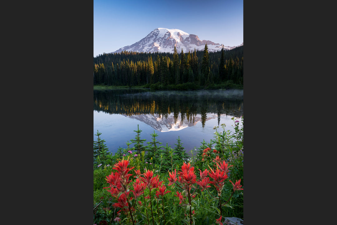 Mount Rainier Reflection with Wildflowers, WA