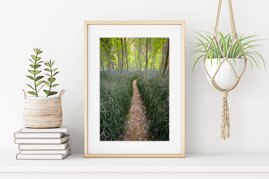 Trail through Reeds, Escalante National Monument, UT - Framed Lustre Print