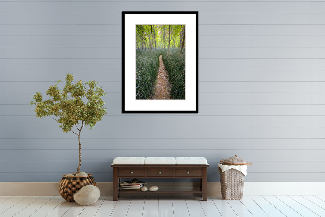 Trail through Reeds, Escalante National Monument, UT - Framed Lustre Print on Wall