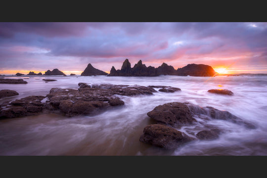 Seal Rock Sunstar, Oregon