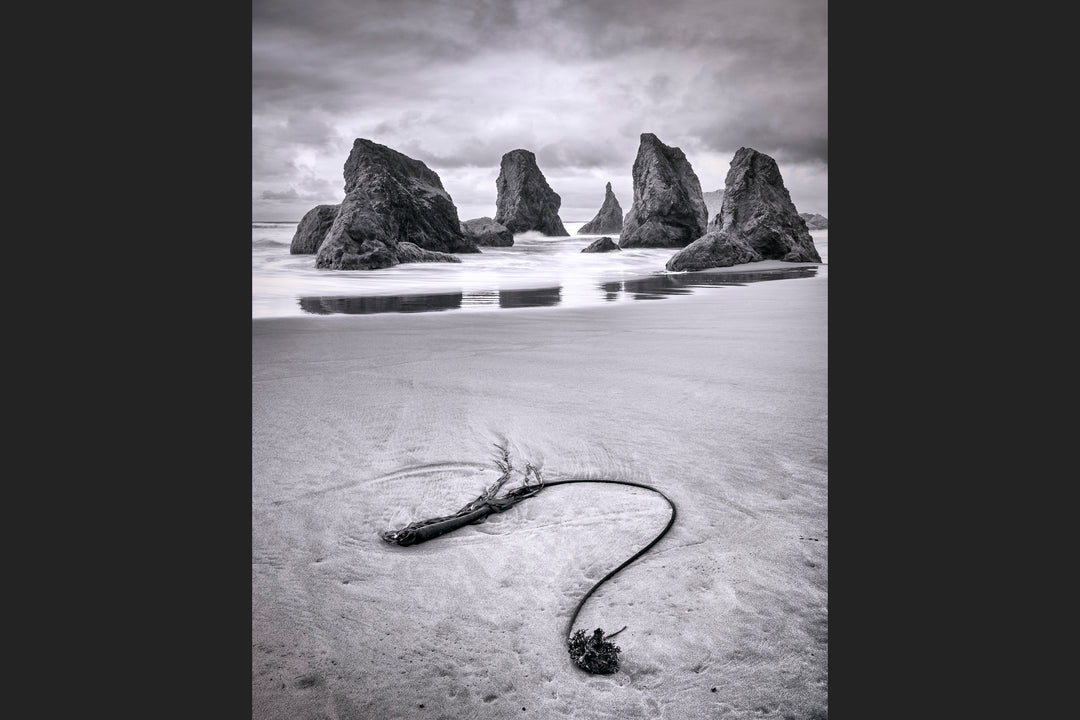 Seaweed and Sea Stacks, Bandon, OR