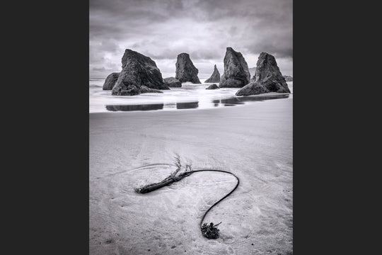 Seaweed and Sea Stacks, Bandon, OR