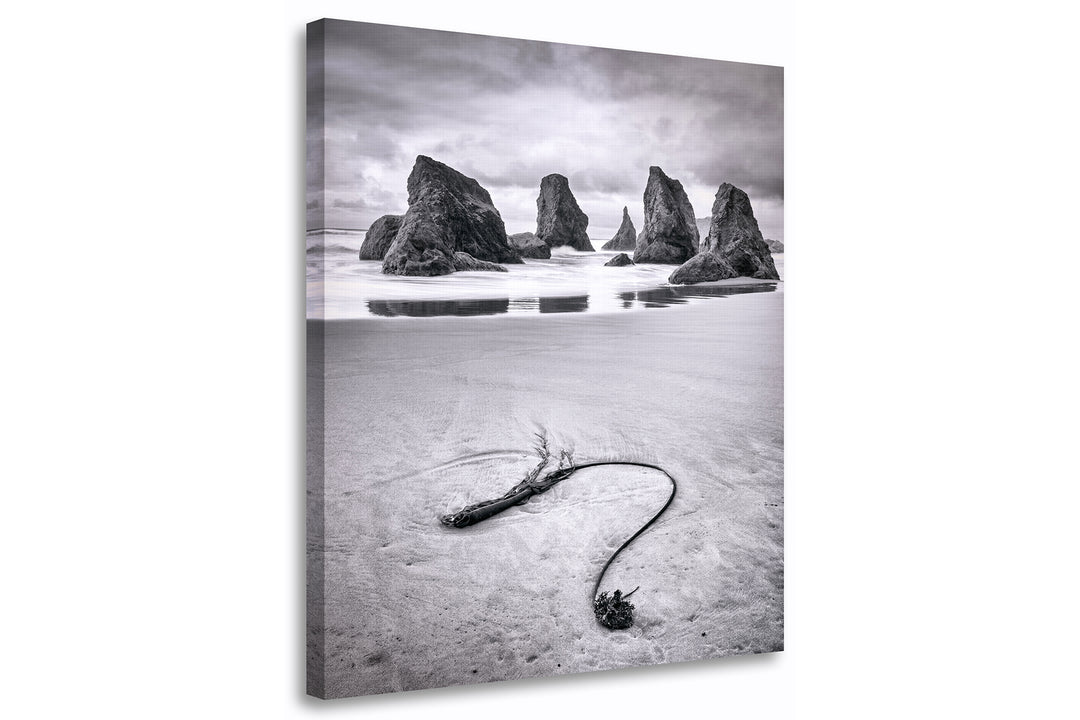 Seaweed and Sea Stacks, Bandon, OR - Canvas Gallery Wrap