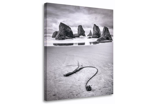 Seaweed and Sea Stacks, Bandon, OR - Canvas Gallery Wrap