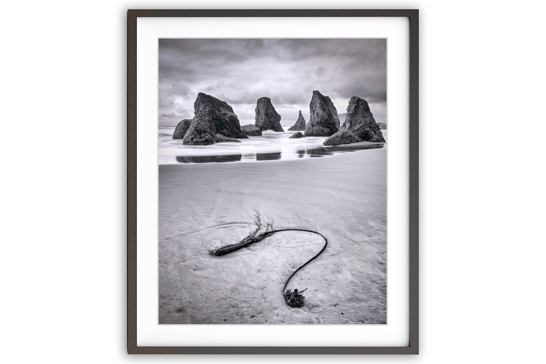 Seaweed and Sea Stacks, Bandon, OR - Framed Lustre Print