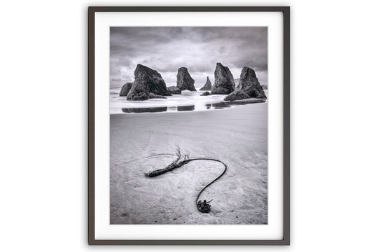 Seaweed and Sea Stacks, Bandon, OR - Framed Lustre Print