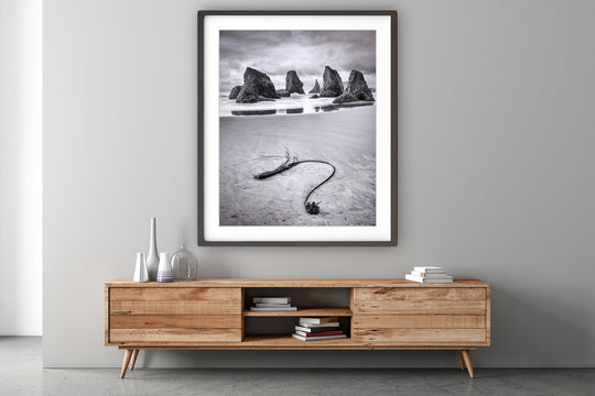 Seaweed and Sea Stacks, Bandon, OR - Framed Lustre Print on Wall