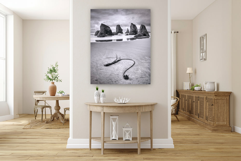 Seaweed and Sea Stacks, Bandon, OR - Metal Print