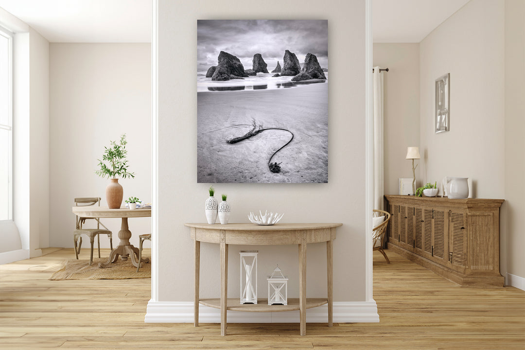 Seaweed and Sea Stacks, Bandon, OR - Metal Print
