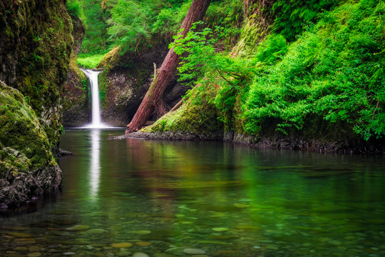 Punchbowl Falls, Eagle Creek, OR