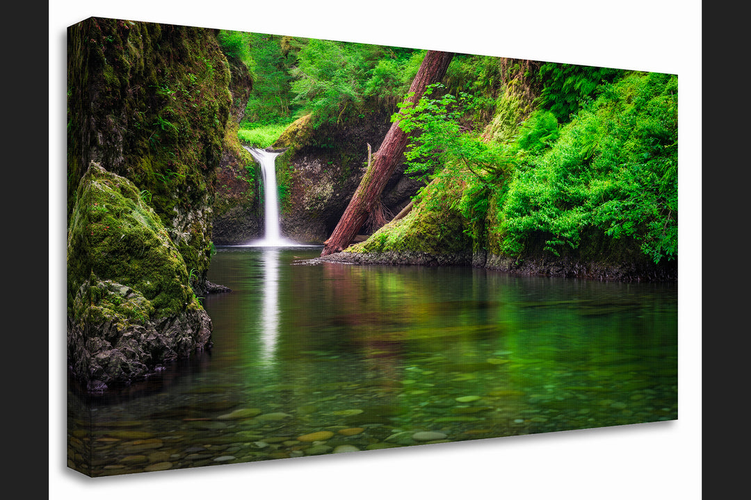 Punchbowl Falls, Eagle Creek, OR - Canvas Gallery Wrap