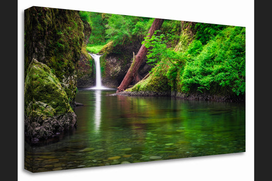 Punchbowl Falls, Eagle Creek, OR - Canvas Gallery Wrap