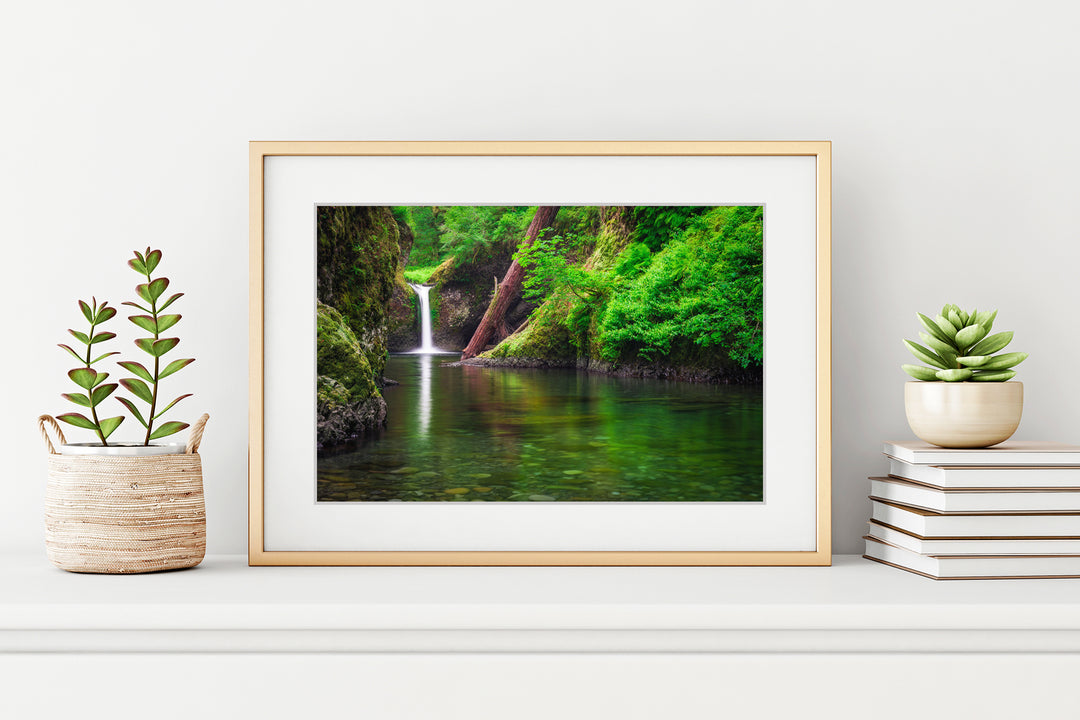 Punchbowl Falls, Eagle Creek, OR - Framed Lustre Print