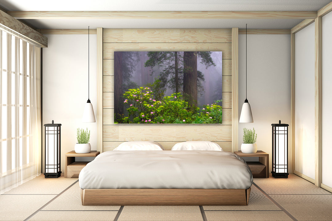 Redwoods and Rhododendrons, Crescent City, CA - Metal Print