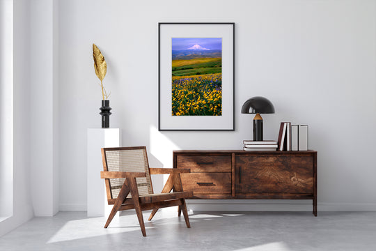 Balsamroot Field and Mount Hood from Columbia Hills, WA - Framed Lustre Print on Wall