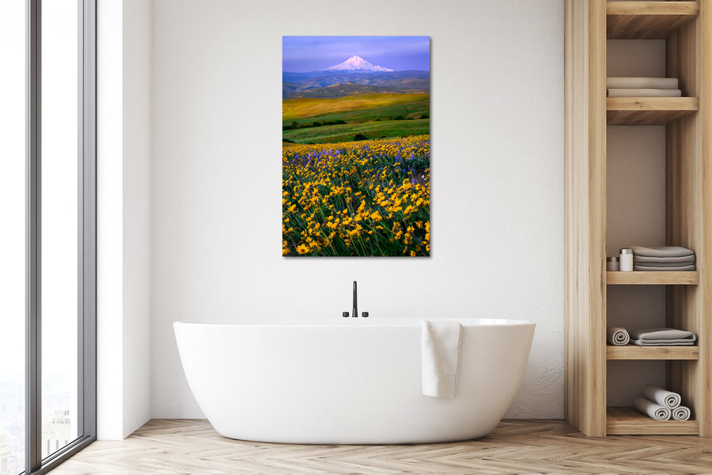 Balsamroot Field and Mount Hood from Columbia Hills, WA - Metal Print