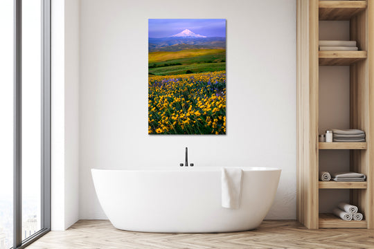 Balsamroot Field and Mount Hood from Columbia Hills, WA - Metal Print
