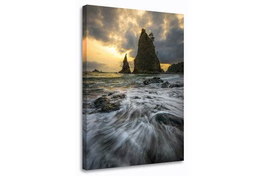 Sea Stack at Rialto Beach, Olympic National Park, WA - Canvas Gallery Wrap