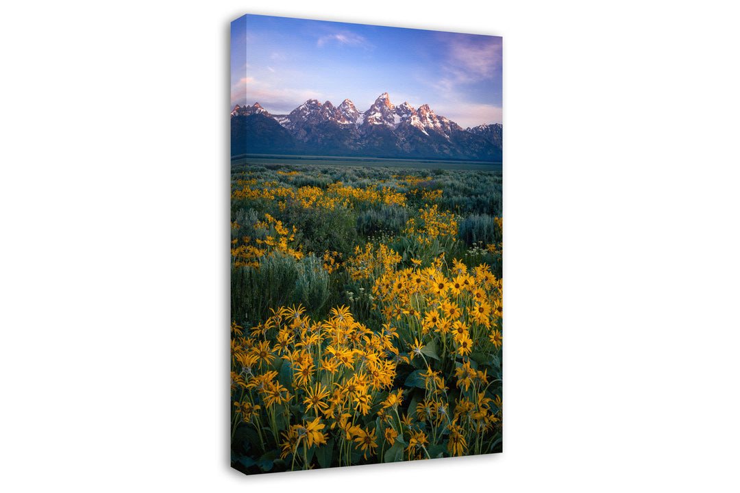Teton Range and Wildflowers, Wyoming (Vertical)