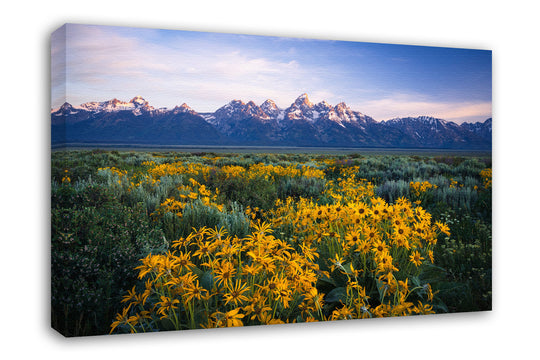 Teton Range and Wildflowers, Wyoming (Horizontal)
