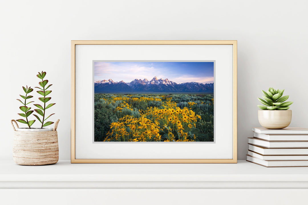 Teton Range and Wildflowers, Wyoming (Horizontal)