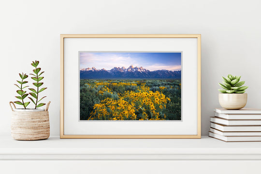 Teton Range and Wildflowers, Wyoming (Horizontal)