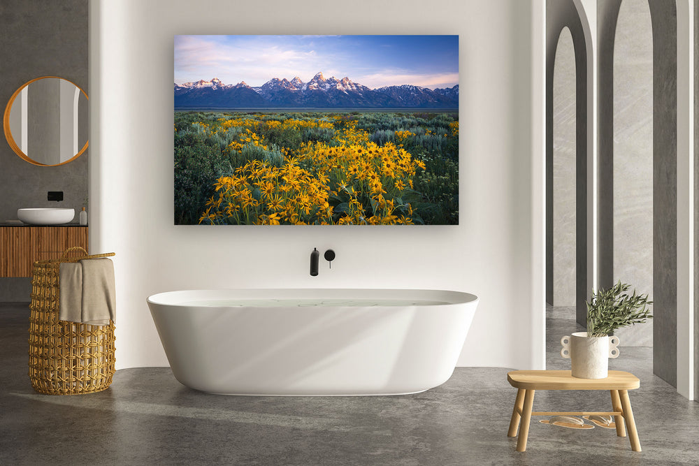 Teton Range and Wildflowers, Wyoming (Horizontal)
