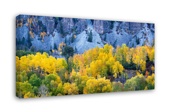 The Beauty Within, Telluride, Colorado