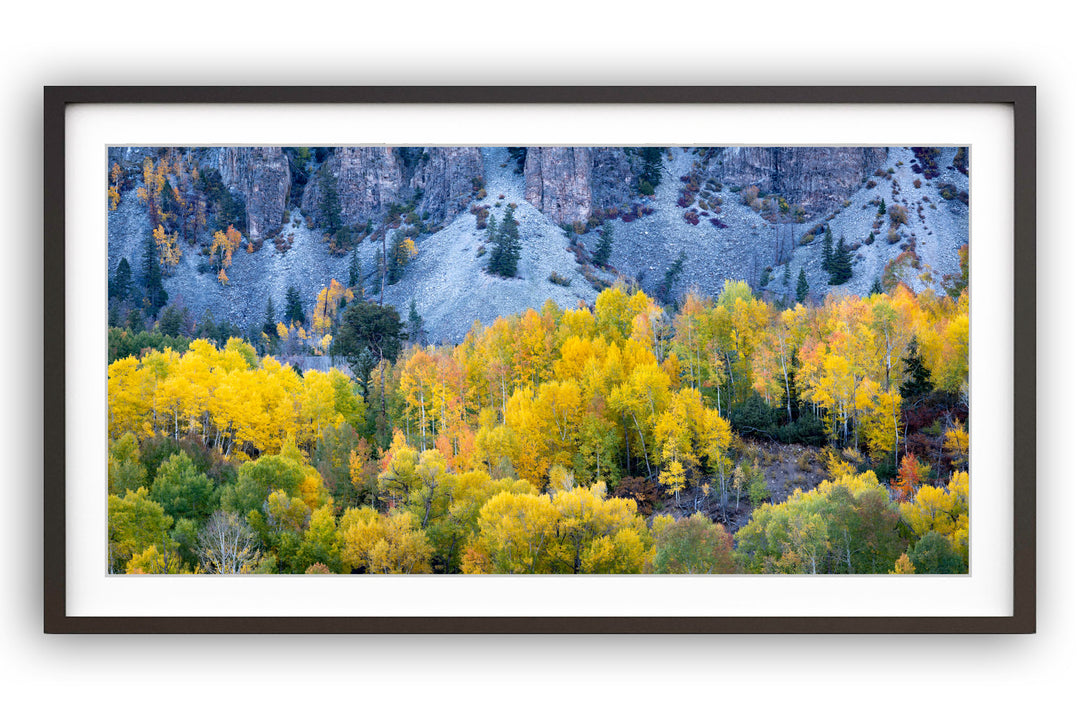 The Beauty Within, Telluride, Colorado