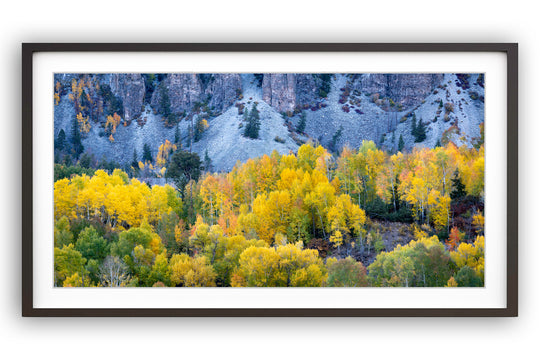 The Beauty Within, Telluride, Colorado