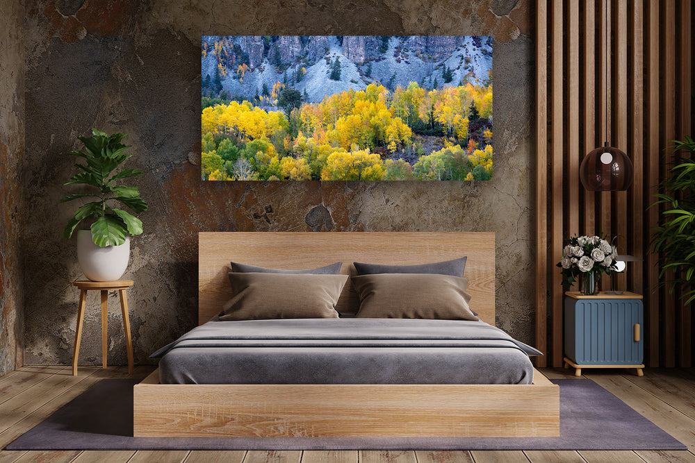 The Beauty Within, Telluride, Colorado