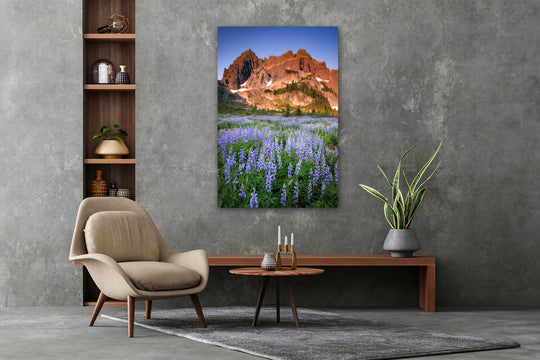 Three Fingered Jack and Lupine Fields, OR - Metal Print