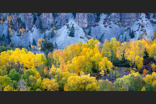 The Beauty Within, Telluride, Colorado