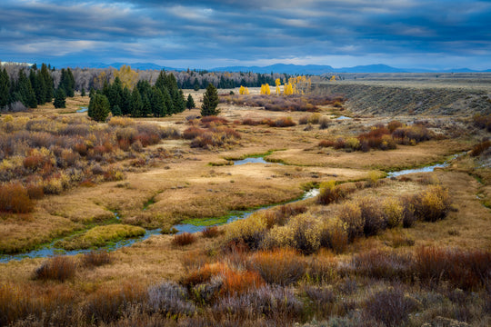 Blacktail Ponds Overlook, Grand Teton National Park, WY