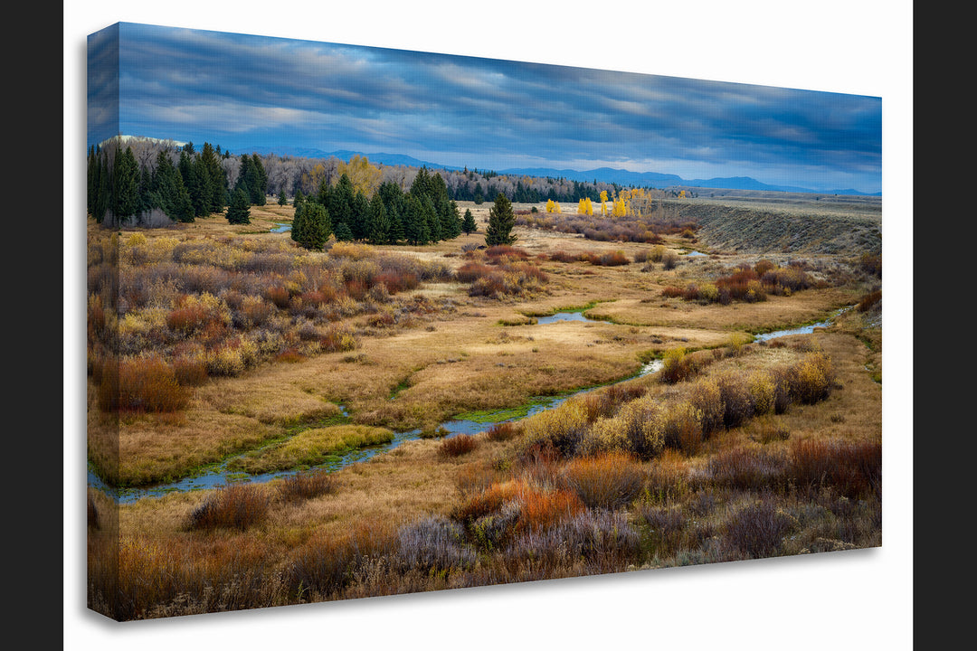 Blacktail Ponds Overlook, Grand Teton National Park, WY - Canvas Gallery Wrap