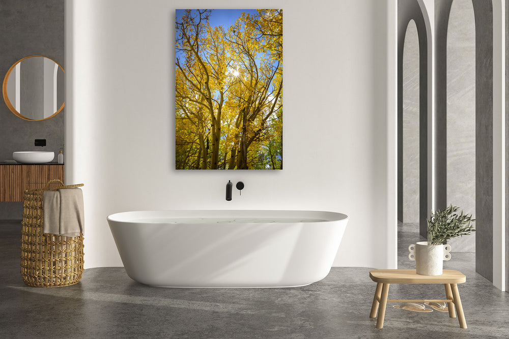 Autumn Colors and Sunstar, Breckenridge, Colorado - Metal Print