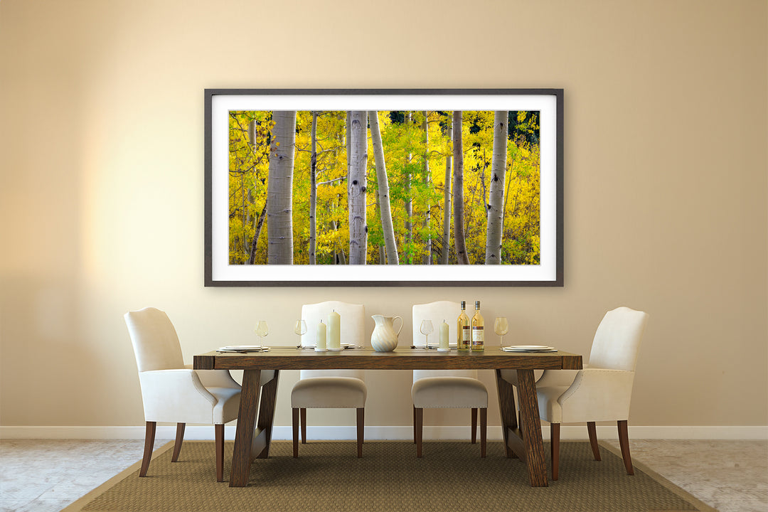 Aspen, Colorado Fall Colors Panoramic - Framed Lustre Print on Wall