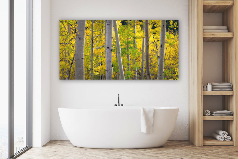 Aspen, Colorado Fall Colors Panoramic - Metal Print