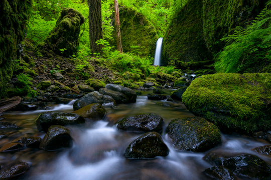 Mossy Grotto Falls, Columbia River Gorge, OR
